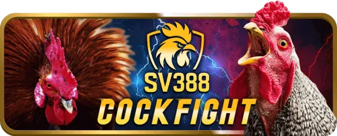 Tổng quan về nền tảng casino 33win nhà cái