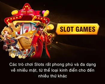 Cấp độ VIP Bạch Kim 33win nhà cái