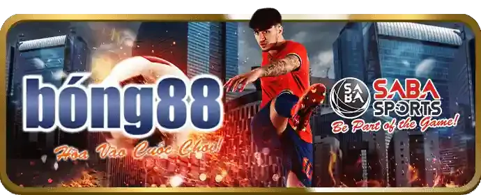 Mẹo cá cược thể thao 33win nhà cái